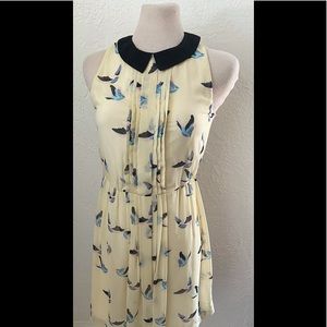 Zara pleated bird dress Peter pan collar